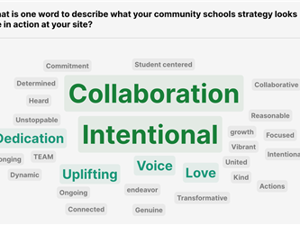 Community School Day Takeaways